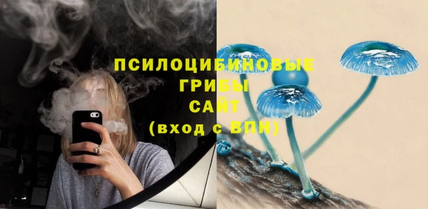 таблы Гусев