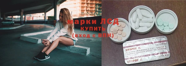 таблы Гусев