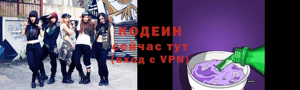 таблы Гусев
