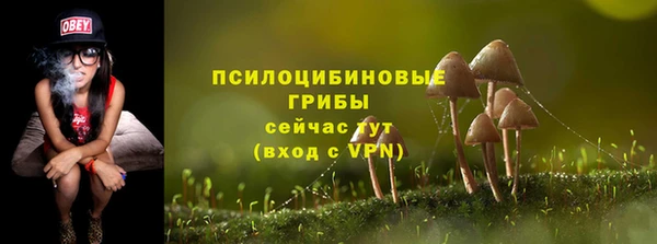 таблы Гусев