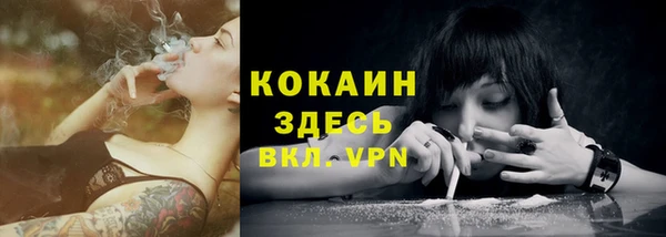 метадон Гусь-Хрустальный