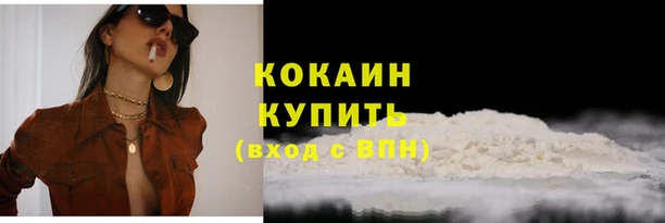 таблы Гусев