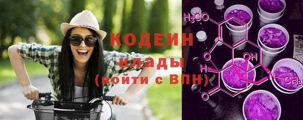 таблы Гусев